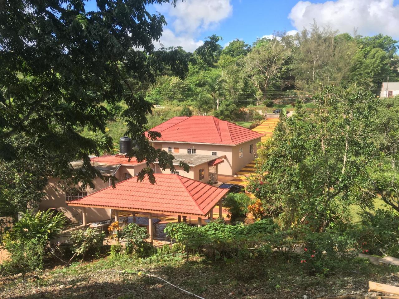 Cliffe Ranch Villa แมนเดอวิลล์ ภายนอก รูปภาพ