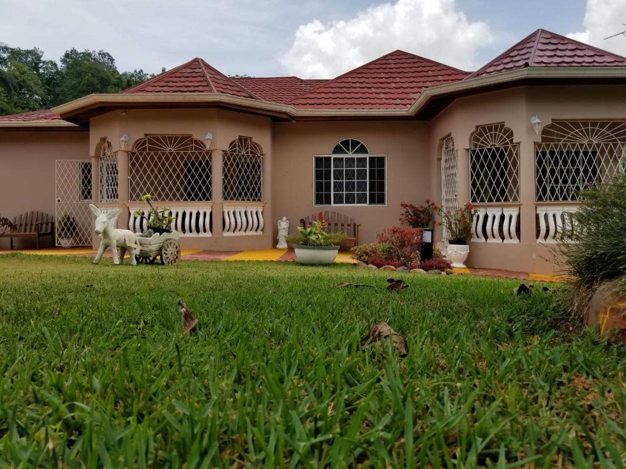 Cliffe Ranch Villa แมนเดอวิลล์ ภายนอก รูปภาพ